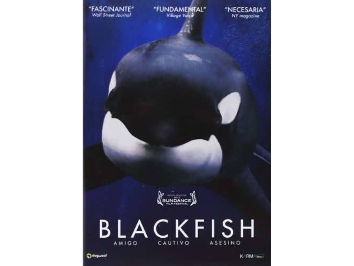 DVD Blackfish (Edição em Espanhol)