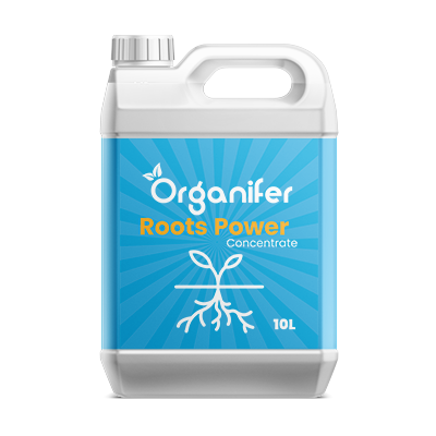 Estimulador de raízes – Roots Power Concentrate - 10 l - Organifer