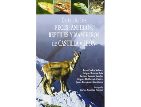 Livro Guía De Los Peces, Anfibios, Reptiles Y Mamiferos De Castilla Y León de Juan Carlos Velasco (Español)