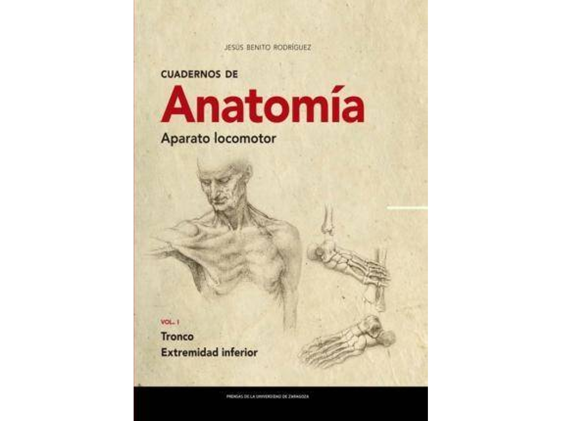 Livro Cuadernos de anatomía aparato locomotor de Jesús Benito Rodríguez (Espanhol)