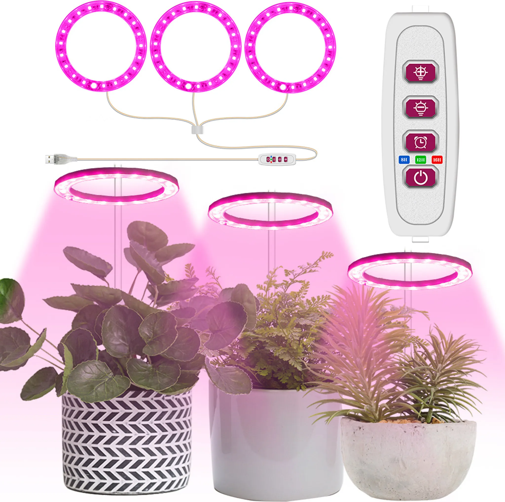 Disco Led Rosa violeta Cabeça Tripla STELASPLEN