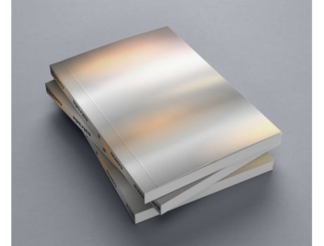 Livro Ama Como a Estrada Começa de João Pedro Vale, Nuno Alexandre Ferreira .