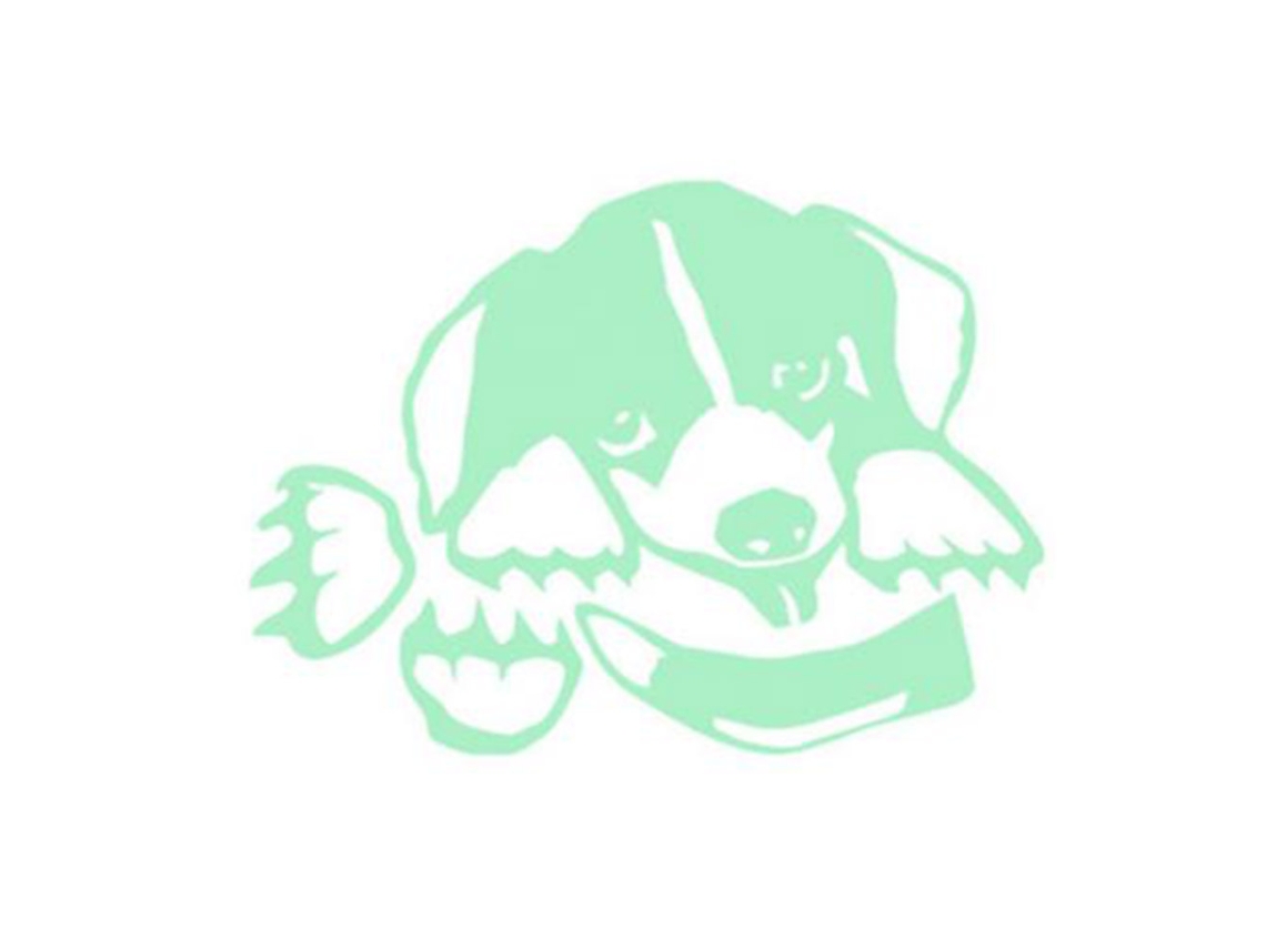 Luzes Noturnas de Cachorro Gravadas para Interruptores 2026 STORE