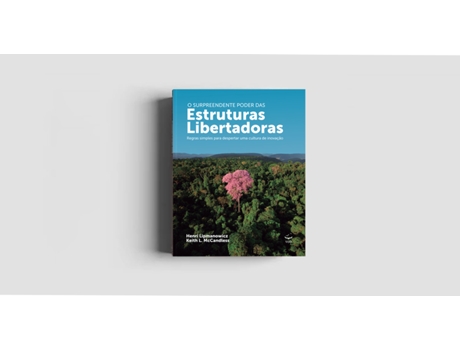 Livro Estruturas Libertadoras De Henri Lipmanowicz (português Do Brasil)