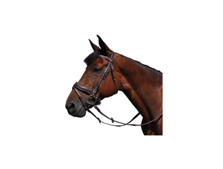 Cabeçotes de cavalo FLAGS&CUP Copenhague