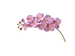 Laxiscreed Flor De Phalaenopsis Artificial 9 Cabeças, Cor Outonal, Altura 104cm Para Decoração Elegante