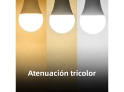 Lâmpada Esférica De 270° Com Base De Rosca E14 De 6w Tricolor, 220v. (tricolor, 6w)
