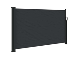 Maison Exclusive - Toldo Lateral Retrátil 120x600 Cm Preto