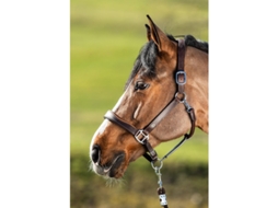 Cabresto de couro para cavalos HFI Two-Tone