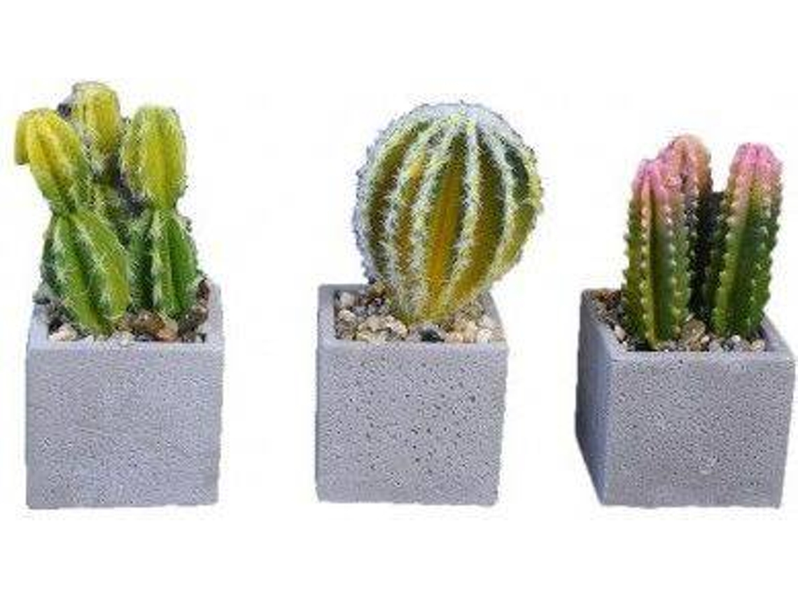 Planta de cacto em estilo realista