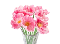10 Flores Artificiais Mini Poppy Rosa LAXISCREED