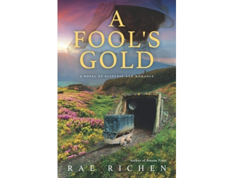Livro A Fools Gold A Novel Of Suspense And Romance De Rae Richen (inglês)