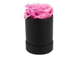 Flor Preservada Rosa Vermelha Eterna para Férias Aniversário | S/MARCA