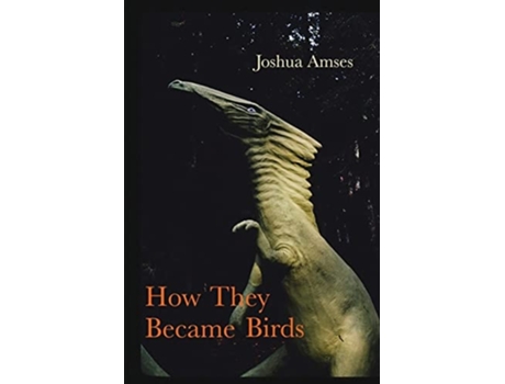 Livro How They Became Birds De Joshua Amses (inglês)