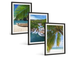 Conjunto De Pinturas Praia, Barco, Cachoeiras, Palmeiras Espelharte (3 Peças 40x60 Cm)