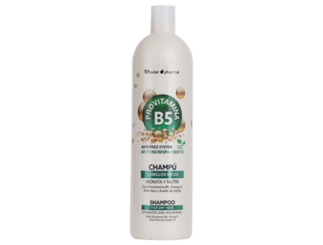 Shampoo Antifrizz Com Provitamina B5. Para Cabelos Secos. 1000 Ml. Th Pharma