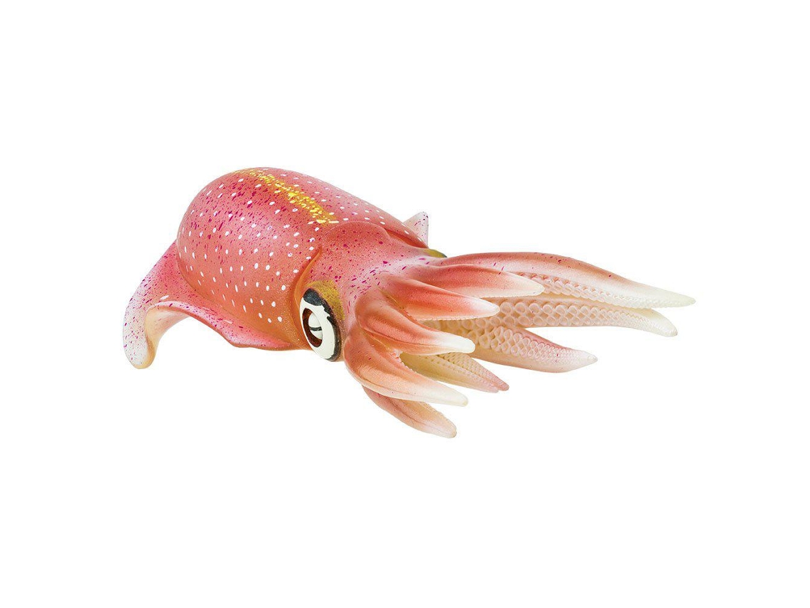 SAFARI Reef Squid
