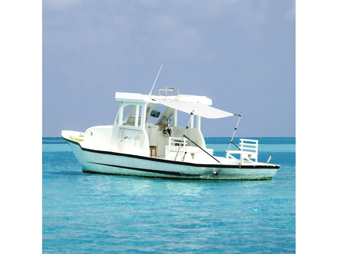 Vidaxl Extensão De Toldo Em T 170x208x(115-183) Cm Branco