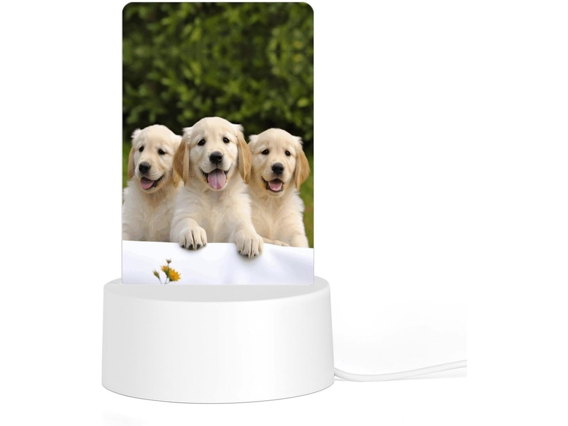 Luminária noturna de acrílico com base, estampa de Golden Retriever Filhotes, luz noturna de LED para computador.