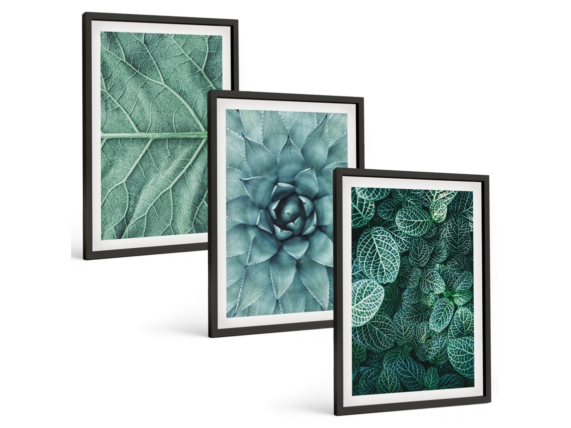 Conjunto De Pinturas Close-ups De Plantas E Folhas Espelharte (3 Peças 40x60 Cm)