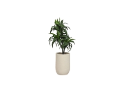 Planta Decorativa Home Esprit Resina Polietileno 50 X 50 X 102 Cm