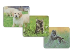 Animal Multicor Hama