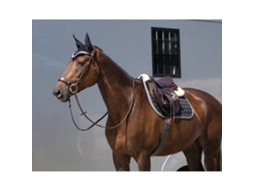Correia de Couro Anatómica com Costura QHP Luxe