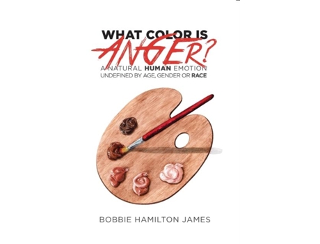 Livro What Color Is Anger? De Bobbie Hamilton-james (inglês)