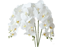 4 Orquídeas Phalaenopsis Artificiais Brancas de 70 Cm com Flores Artificiais AQUAFORGE