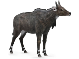 Figura COLLECTA Nilgai