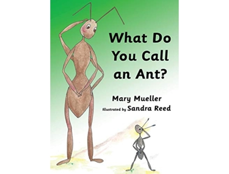 Livro What Do You Call an Ant? de Mary Mueller (Inglês - Capa Dura)