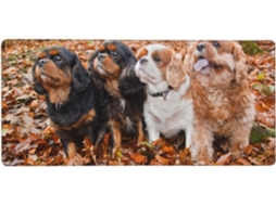 Mouse Pad Grande para Computador com Estampa de Filhotes Cavalier King Charles Spaniel no Outono, Base Borrach