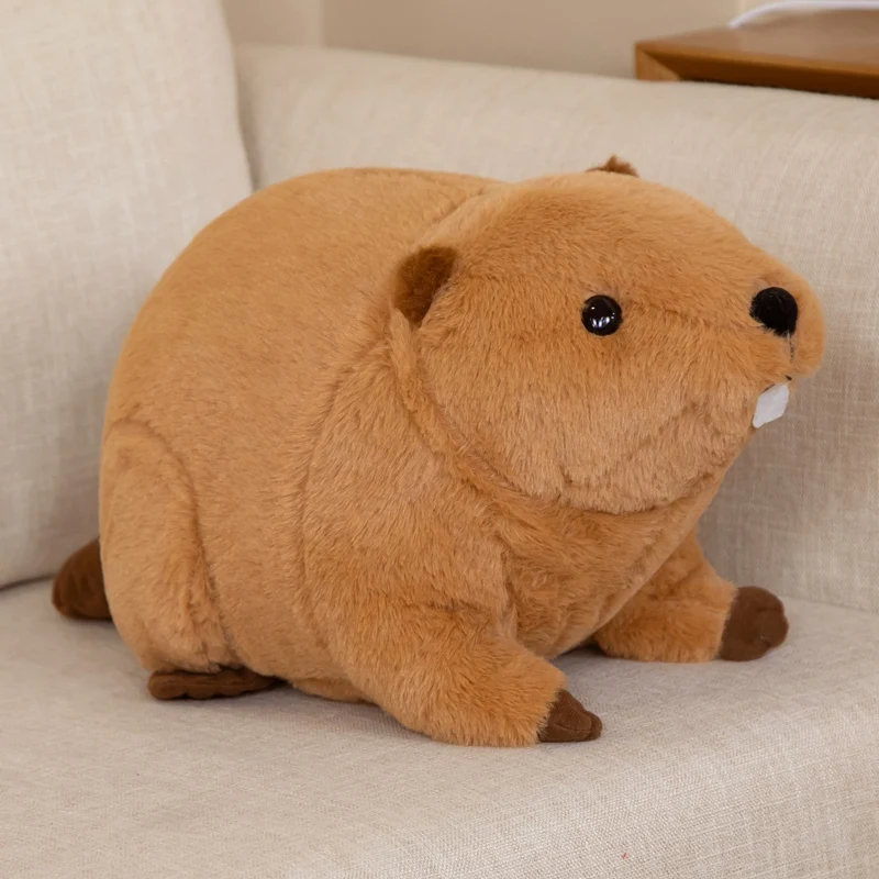 (marrom Escuro, 60 Cm) Brinquedo De Pelúcia De Castor Fofo, Animal Realista, Almofada De Pelúcia De Castor Kawaii