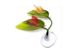 Folha Artificial Para Decoração De Aquário Com Ventosa