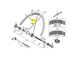 Shimano Rs20A/Rs21 Front Spoke
