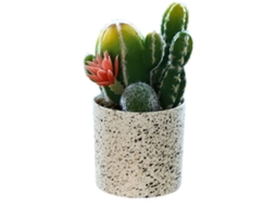 Flor Falsa de Cacto Tropical Bonsai Decoração Criativa Planta Verde RNEMITERY
