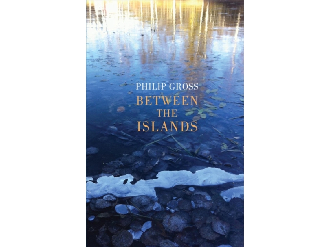 Livro Between the Islands de Philip Gross (Inglês)