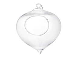 Vaso De Vidro Suspenso Para Plantas Suculentas, Ideal Para Decoração De Casa E Jardim Other