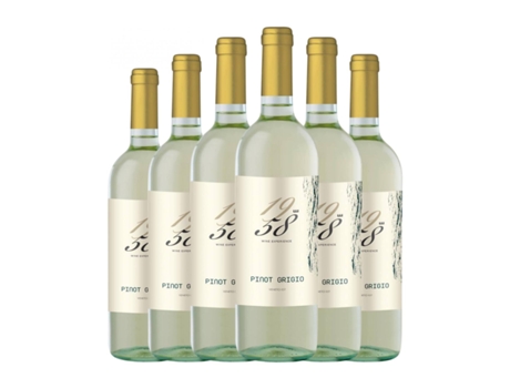 Vinho branco CASTELNUOVE DEL GARDA 1958 Wine Experience Pinot Cinza Delle Venezie (0.75 L - 6 Unidades)