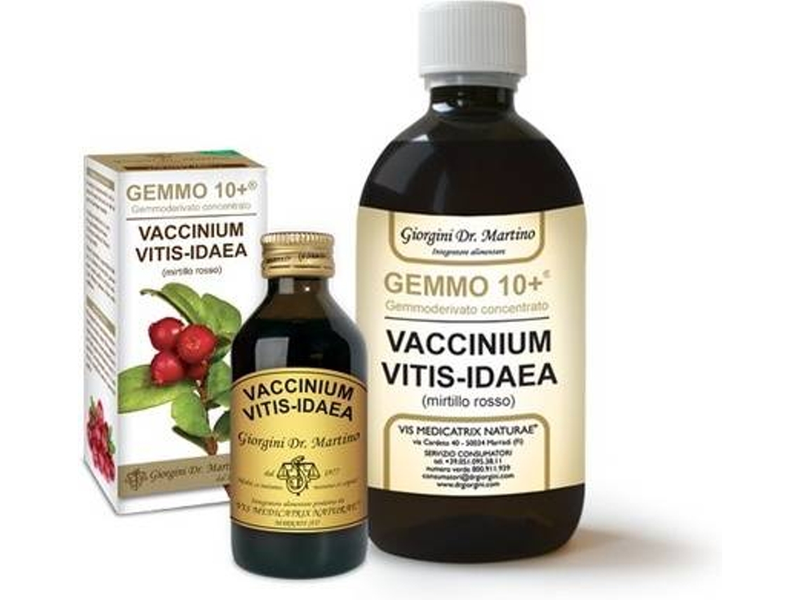 Suplemento Alimentar DR. GIORGINI Concentrado Gemoderivativo De Mirtilo G+ (100 ml)