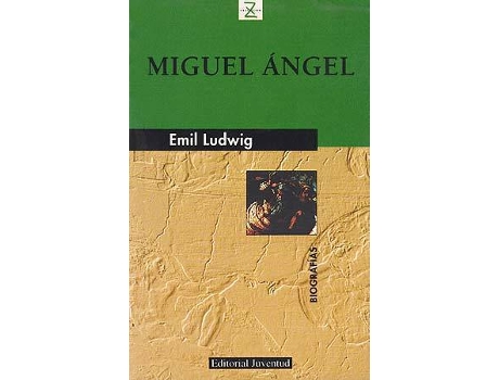 Livro Z Miguel Angel de Pere Negre Rigol