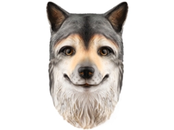 Máscara Animal Realista Cão Para Halloween Festa Horror