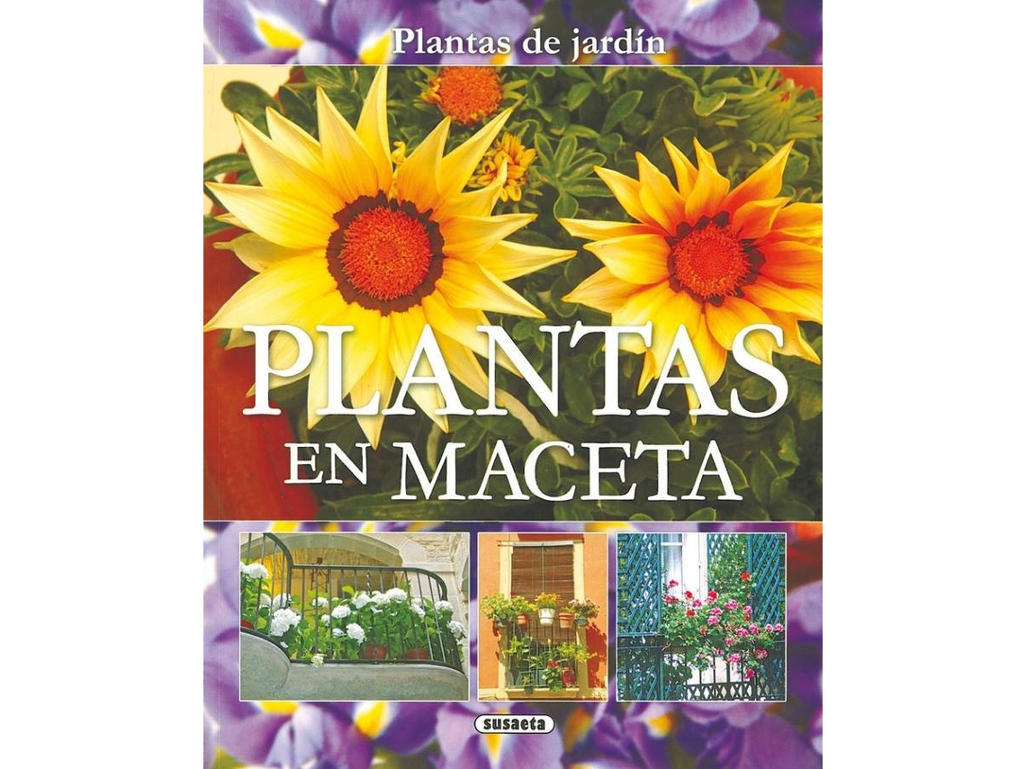 Livro Plantas En Maceta de Jorge Echagüe (Espanhol)