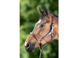 Cabresto de couro para cavalos HFI Wave