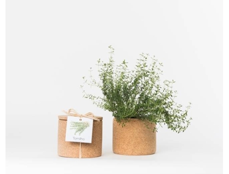 Vaso  Grow Cork Pot Tomilho