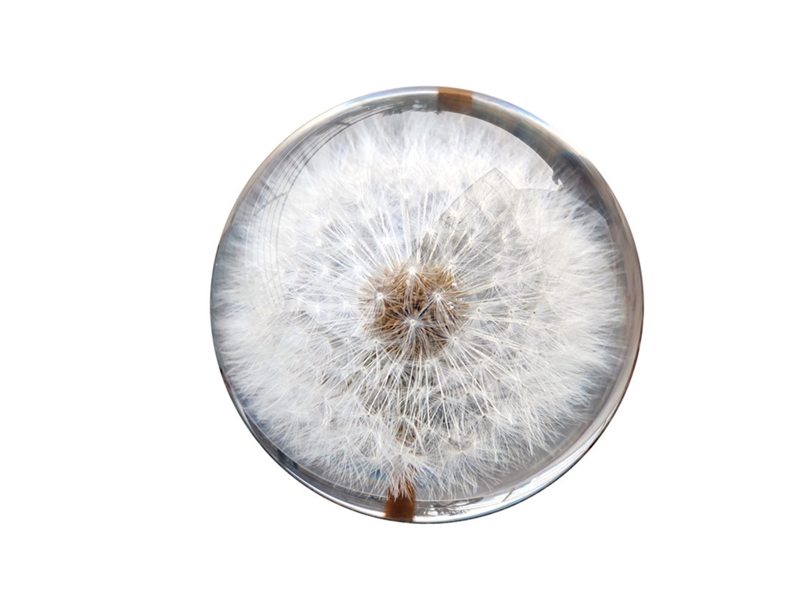 Laxiscreed Bola De Cristal Dandelion 80mm Com Base Chata Para Fácil Posicionamento