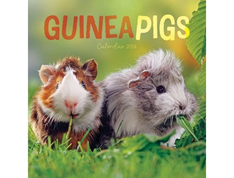 Livro Guinea Pigs Mini Calendar 2024 de edt Carousel Calendars (Inglês)