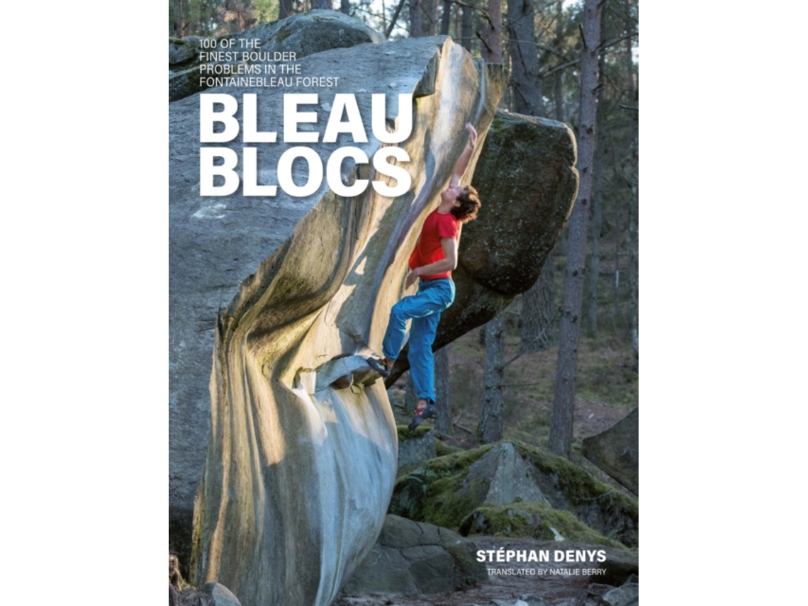 Livro Bleau Blocs de Stephan Denys (Inglês)