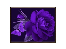Pintura De Diamante Diy Decorativa Para Casa Flor 8673