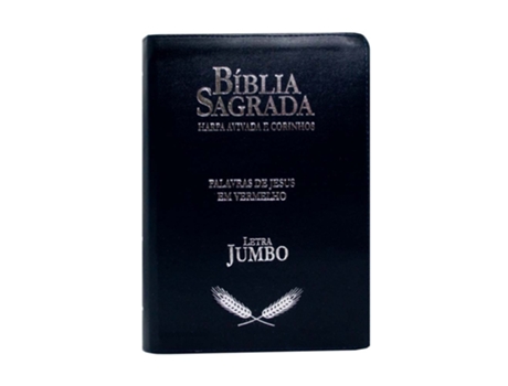 Livro Biblia Jumbo Com Harpa Ziper Pjv Azul Cpp De Diversos (português Do Brasil)